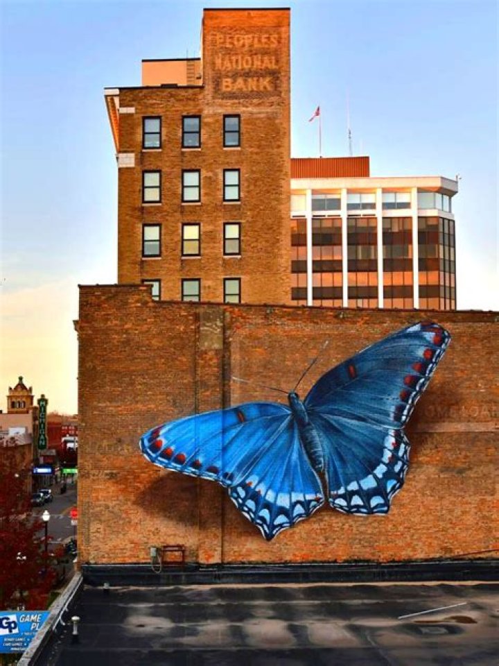 Discover The Enchanting World Of Ali Peters: An Artistry Unveiled